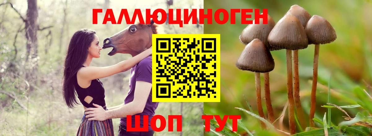 Галлюциногенные грибы мицелий  Вход с VPN  Партизанск  Псилоцибиновые грибы мицелий 