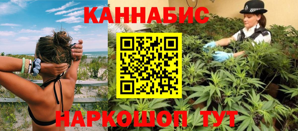 Канабис OG Kush Партизанск